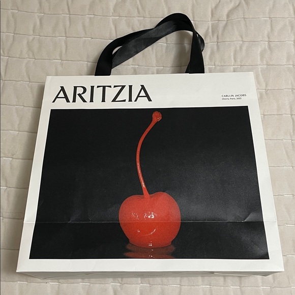 Aritzia Shopping and Packaging Bags Bundle - Picture 11 of 11